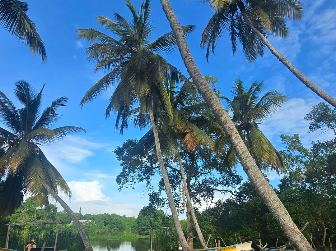 Kalametiya Bird Watching & Ecotourism-Kalametiya必去景点