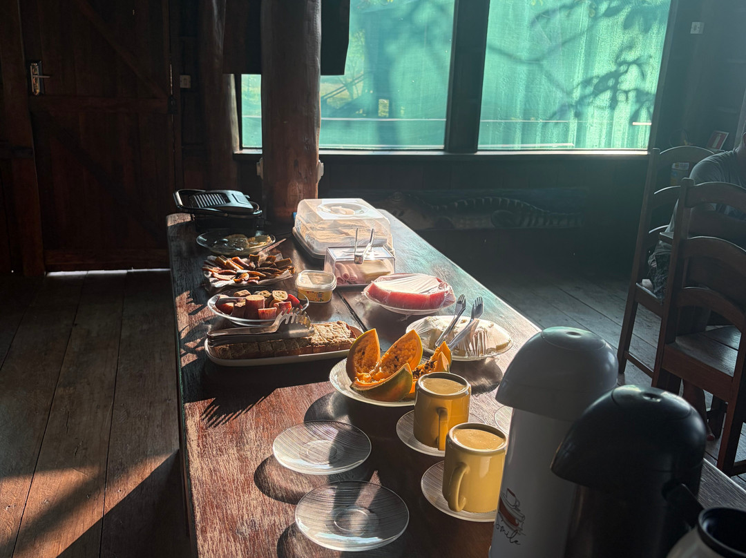 Amazon Antonio Jungle Tours-玛瑙斯必去景点