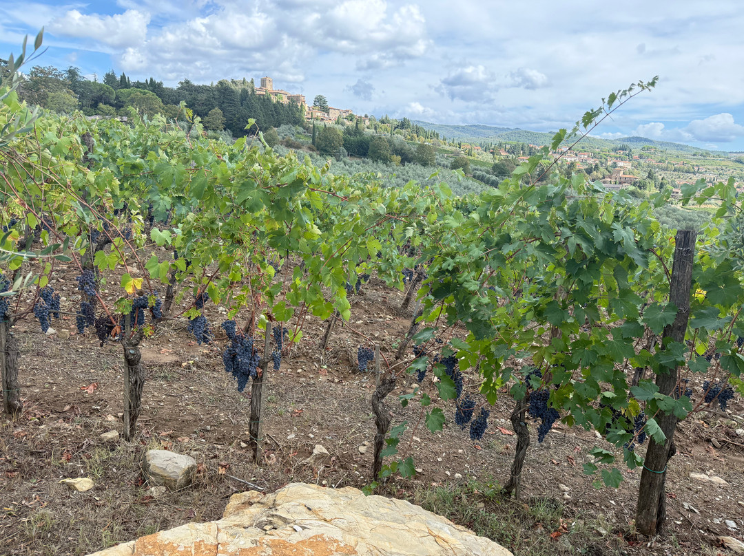 Azienda Agricola Il Palagio di Panzano-Panzano in Chianti必去景点