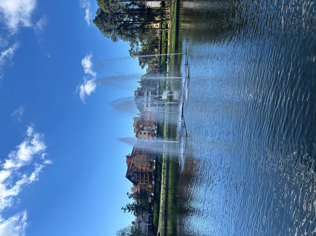 Lago Joaquina Rita Bier-格拉玛多必去景点