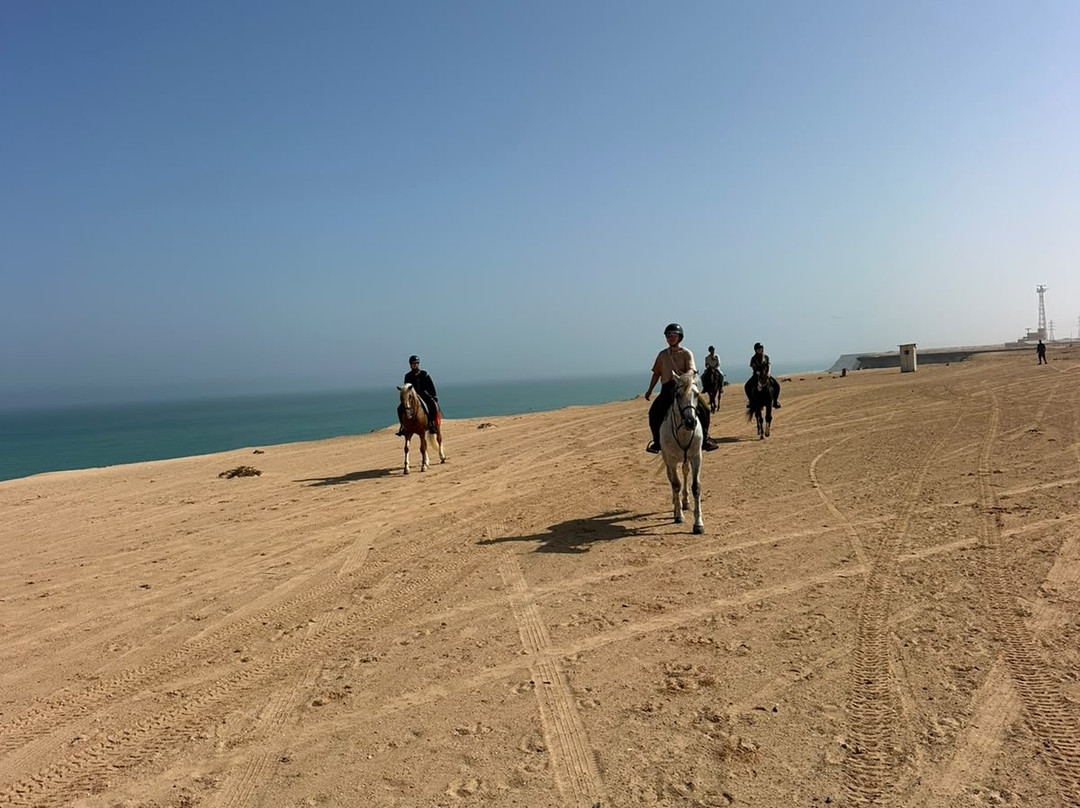 Ranch Des Dunes-达赫拉必去景点