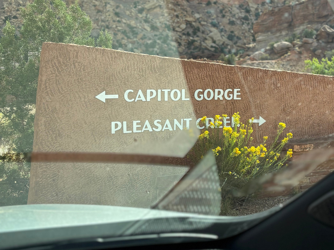 Capitol Gorge Trail-圆顶礁国家公园必去景点