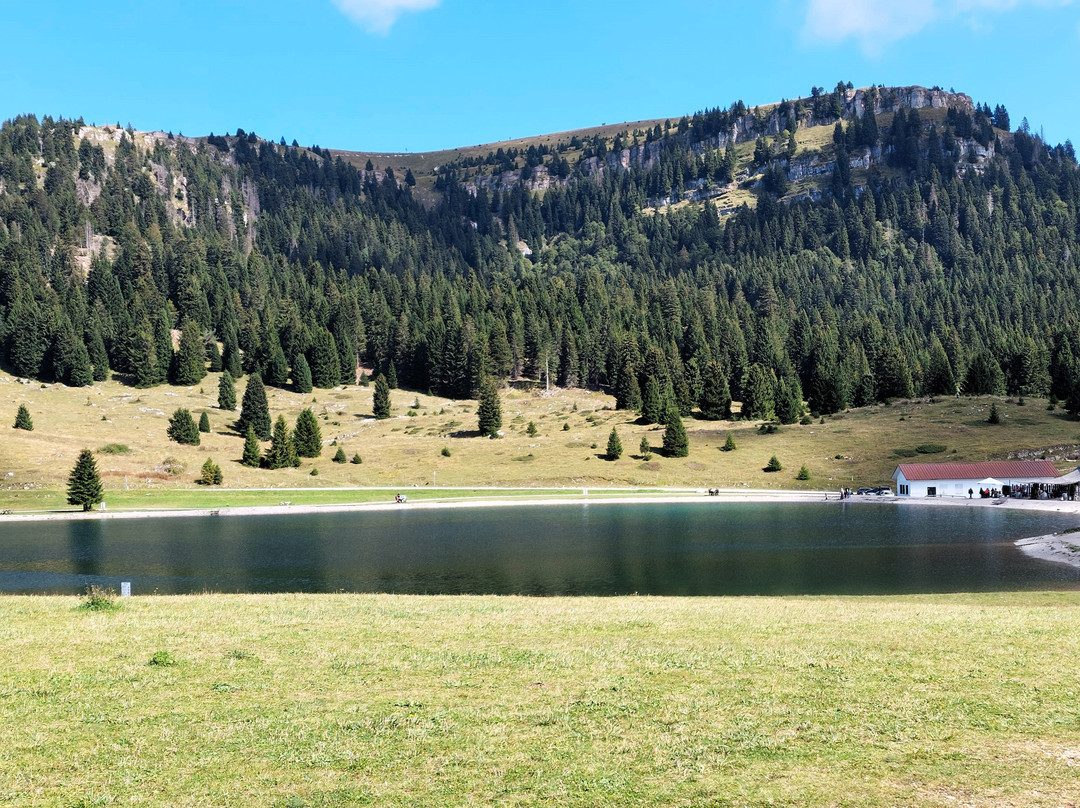 Lago Coe-福尔加里亚必去景点