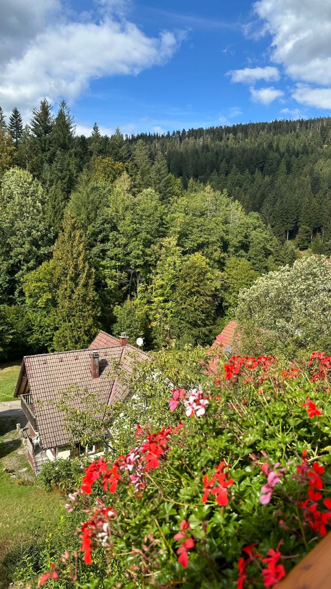 Auerhahn Forsthaus-旅行者