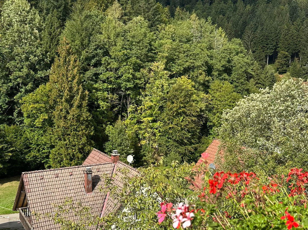 Auerhahn Forsthaus主图