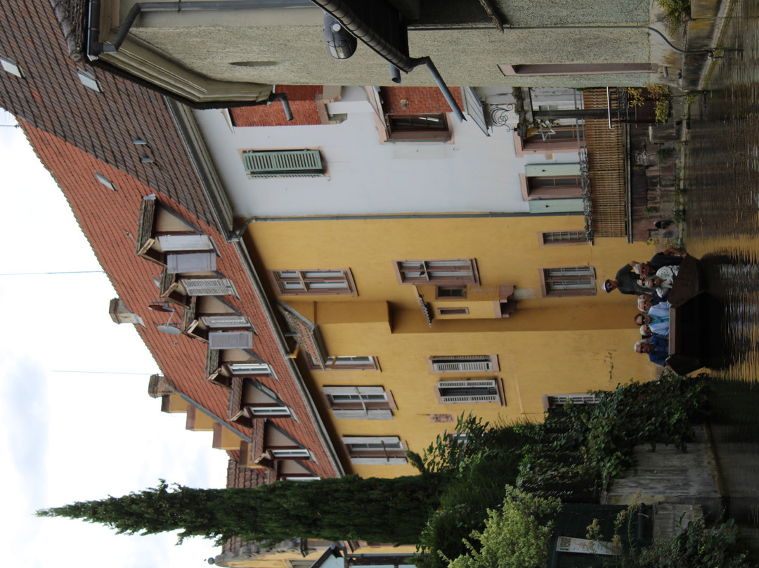Barque Colmar "au fil de l’eau" - Sweet Narcisse-科尔马必去景点