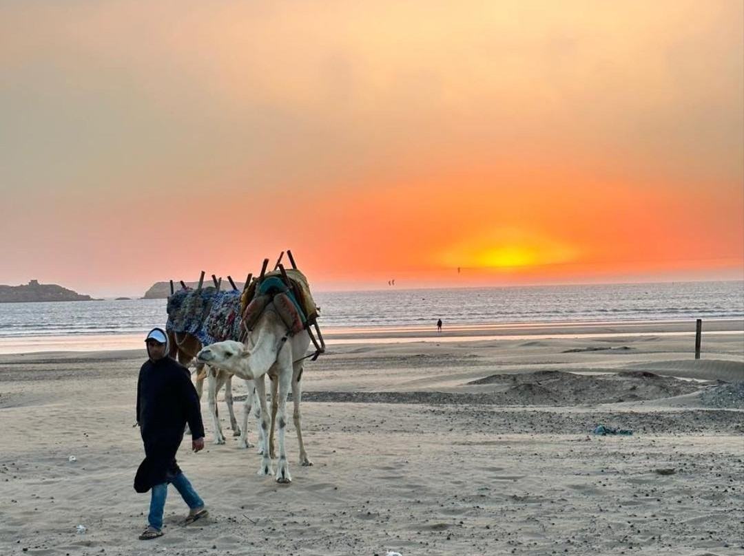 Moroccan Safaris Travel-非斯必去景点