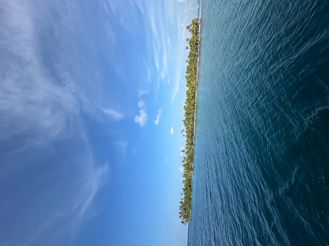 Catamaran Adventures San Blas-埃尔波韦尼尔必去景点