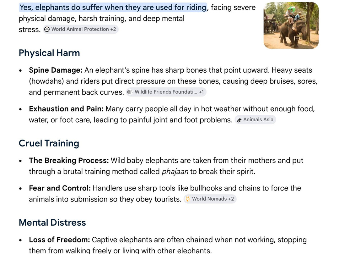 Two Tails Ranch: All About Elephants-Williston必去景点