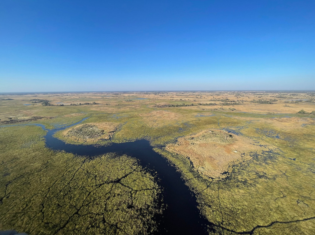 Okavango Delta-马翁必去景点