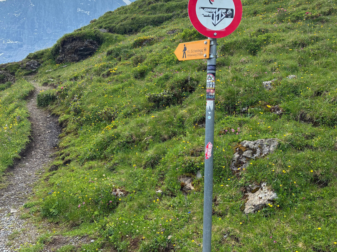 Panorama Trail-格林德瓦必去景点