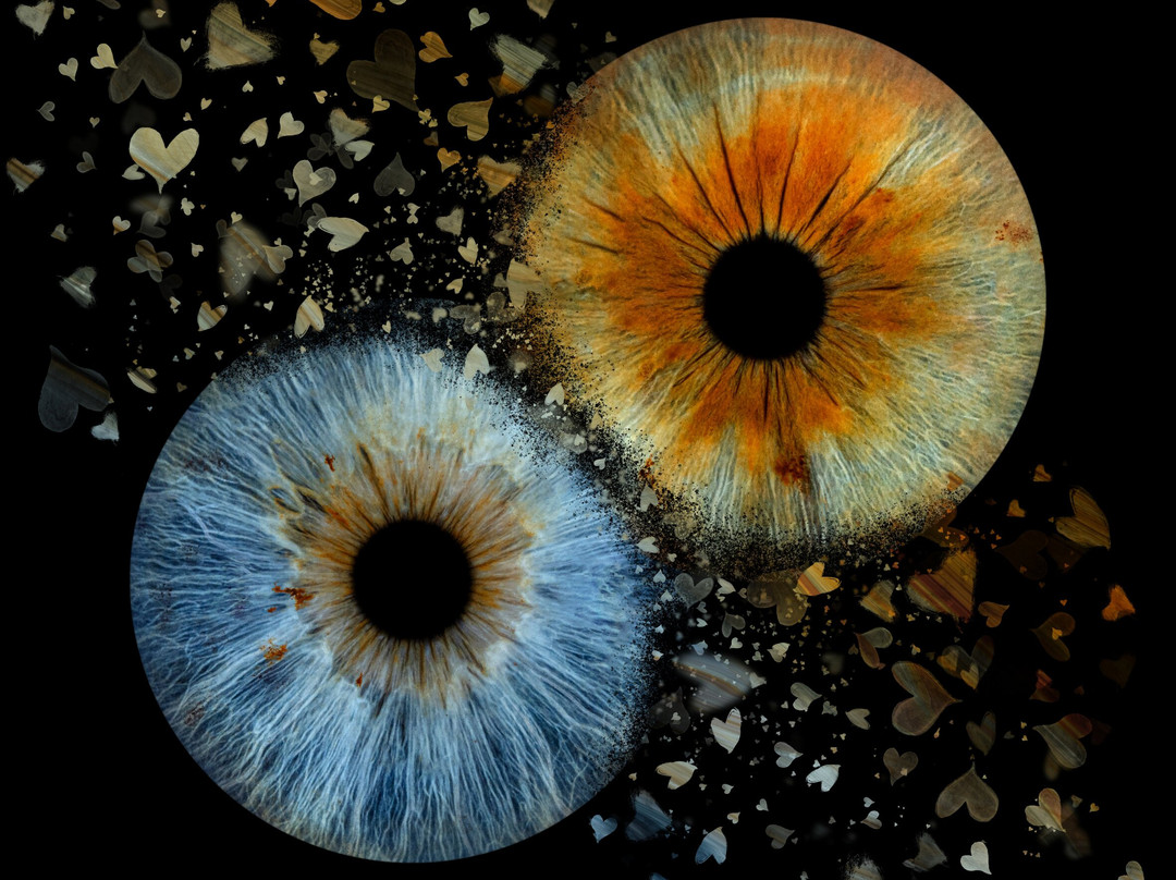 Iris Galerie Maastricht-马斯特里赫特必去景点