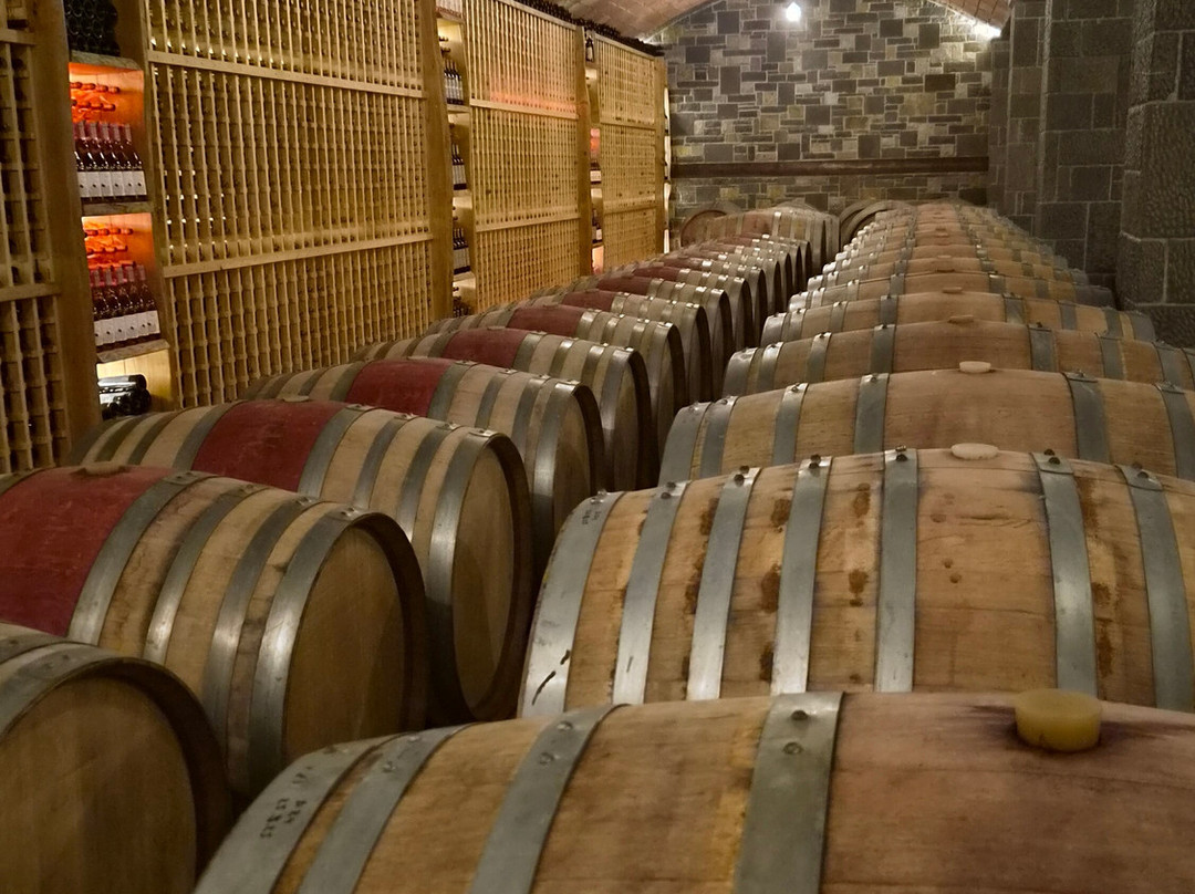 Pupa Winery & Guesthouse-Fushe Peshtan必去景点