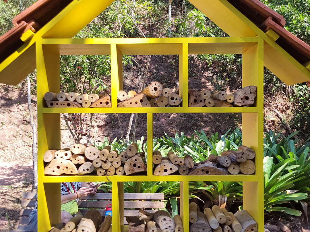 Museu de Biologia Prof. Mello Leitão-Santa Teresa必去景点