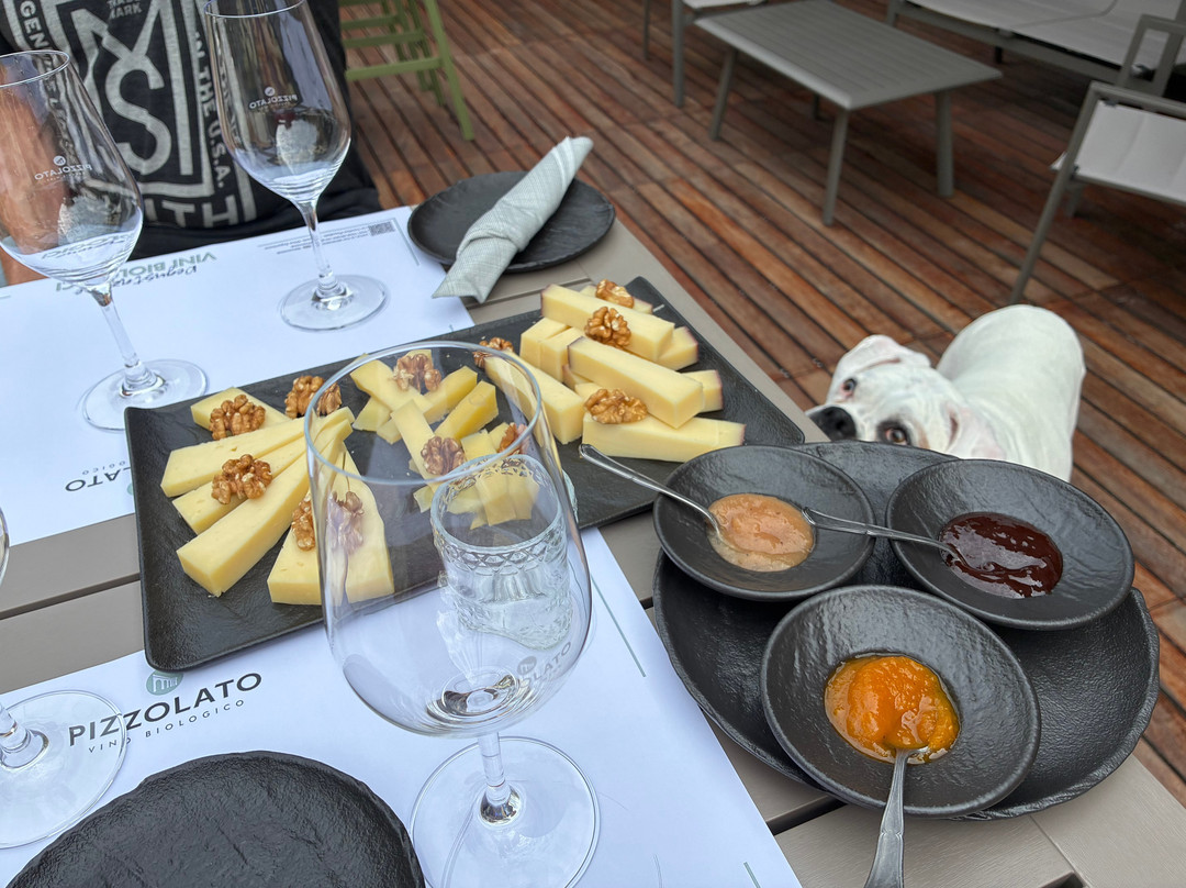 Cantina Pizzolato Società Benefit - Organic Wine Experience-维洛尔巴必去景点