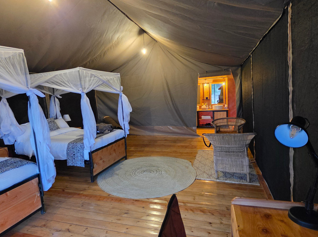 Friends Camps and Lodge-Seronera必去景点