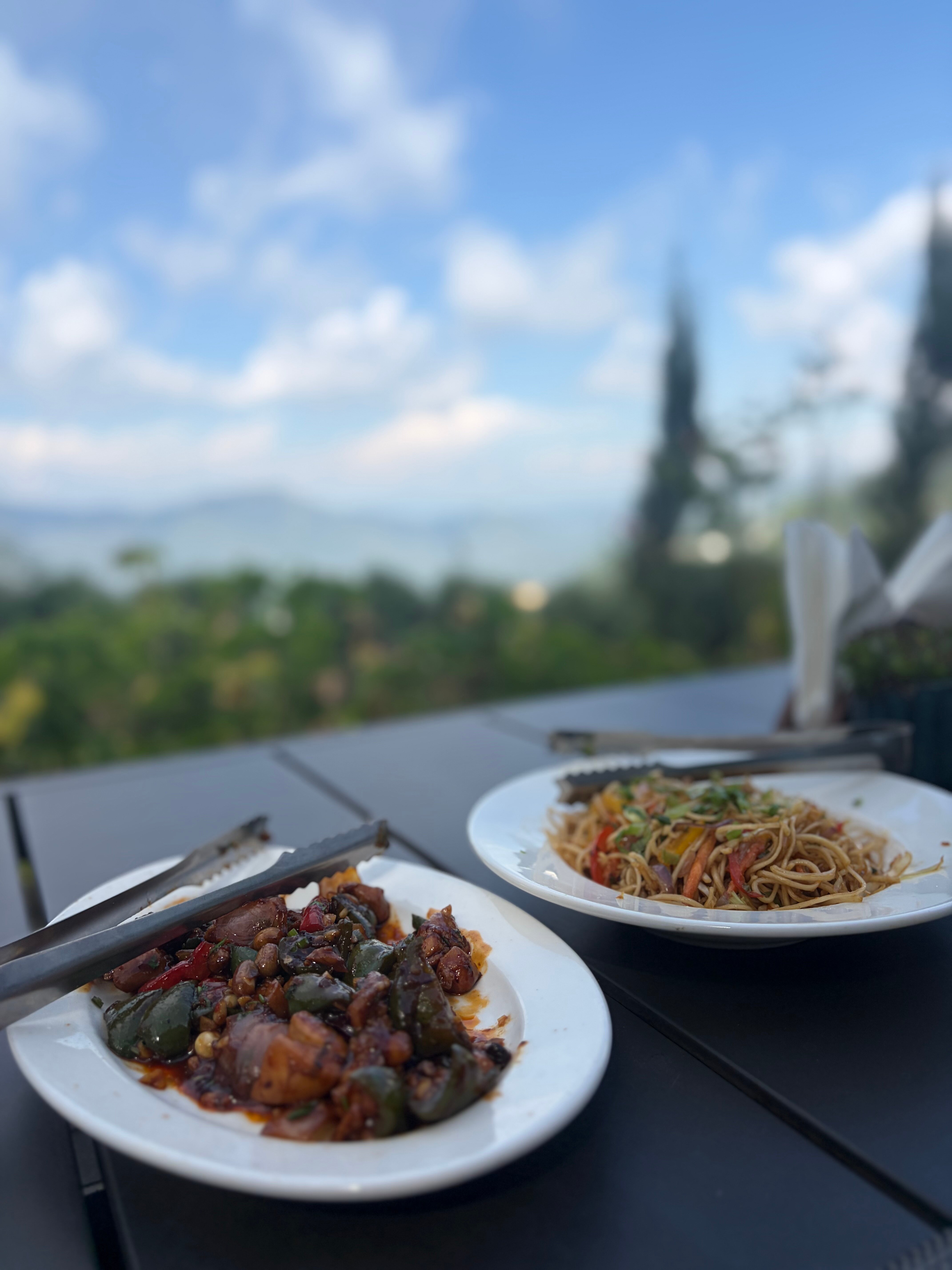 阿玛拉雅拉里萨酒店-加加尔拉姆加尔-旅行者