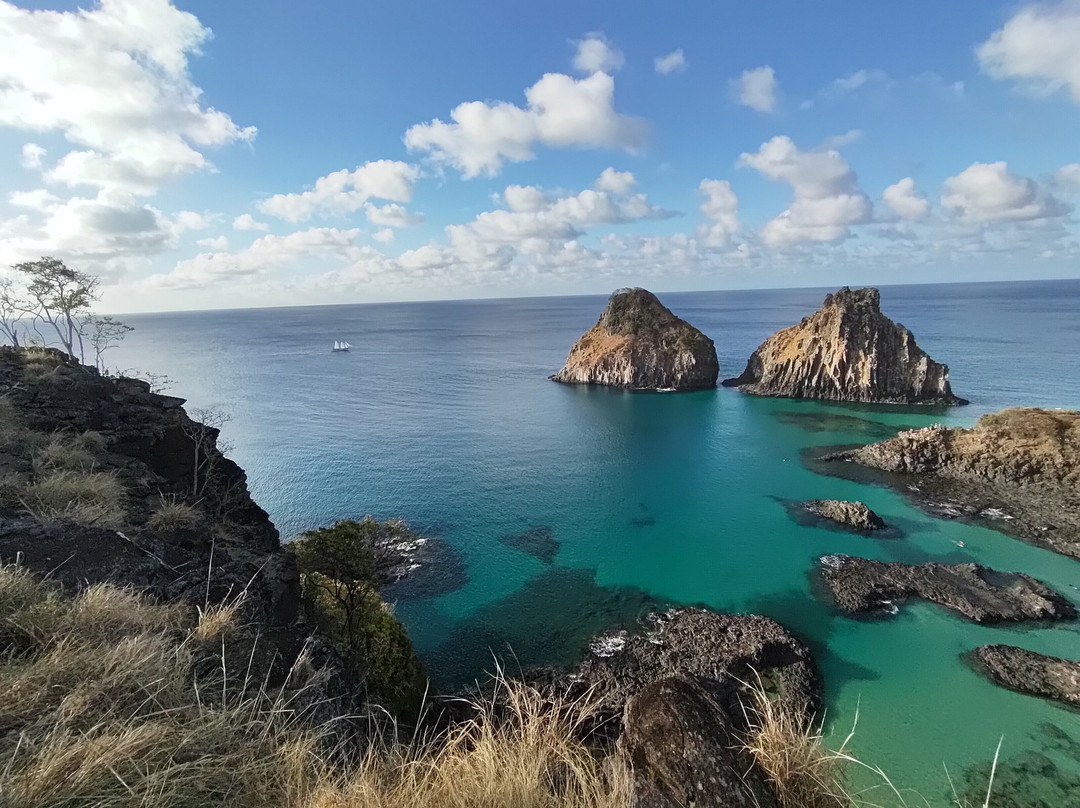 Baia dos Porcos-费尔南多-迪诺罗尼亚群岛必去景点