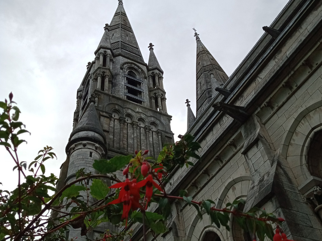 St Fin Barre's Cathedral-科克必去景点