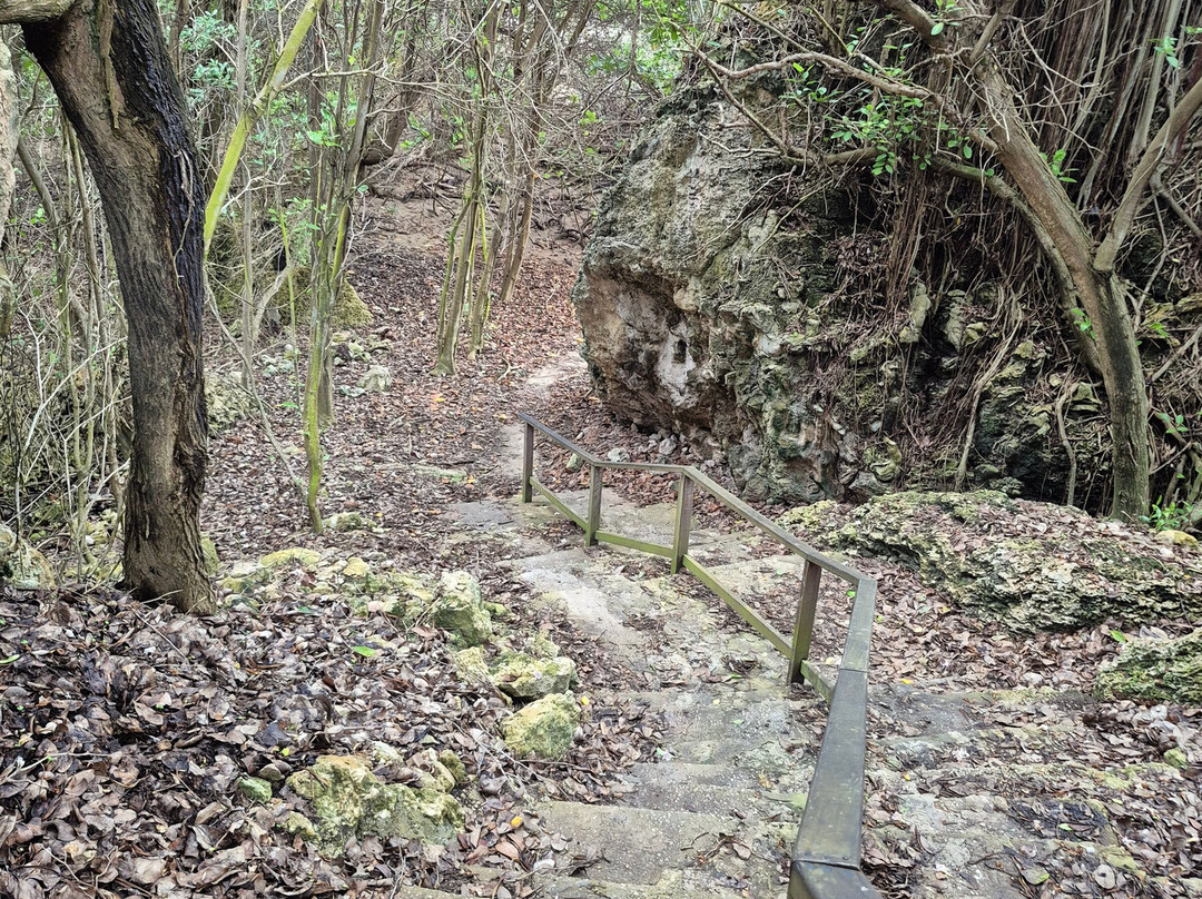 Bottom Bay-Saint Philip Parish必去景点