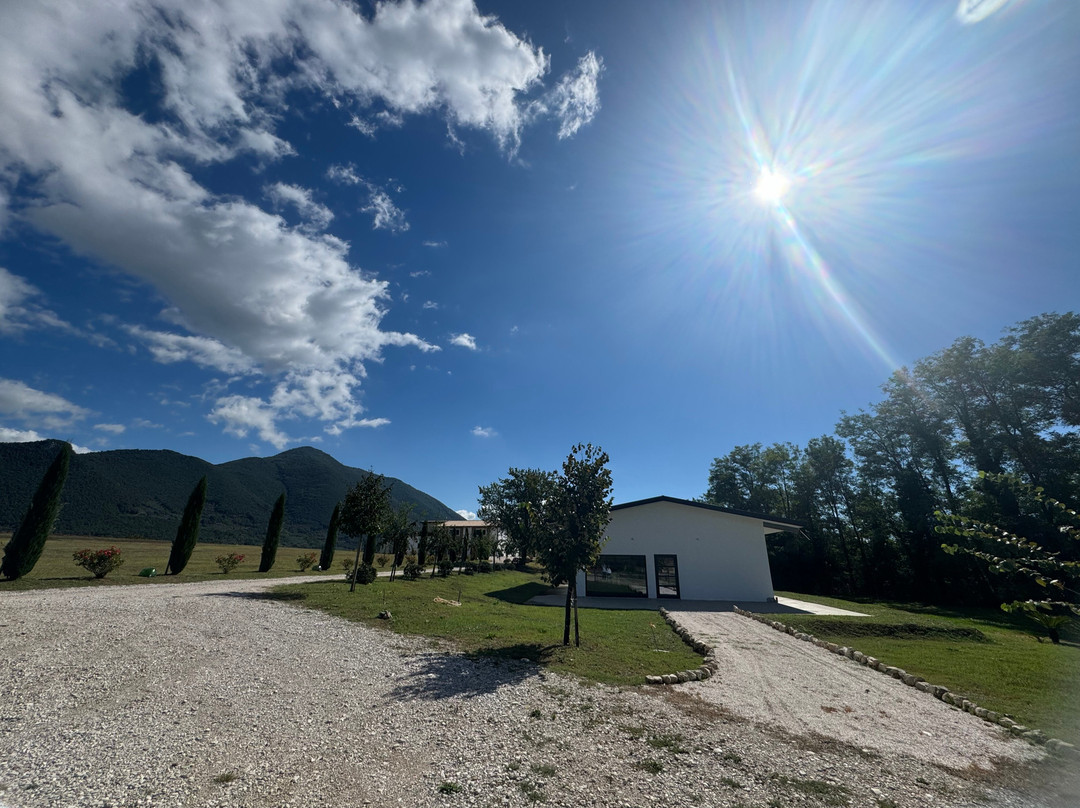Tenuta Tomaso