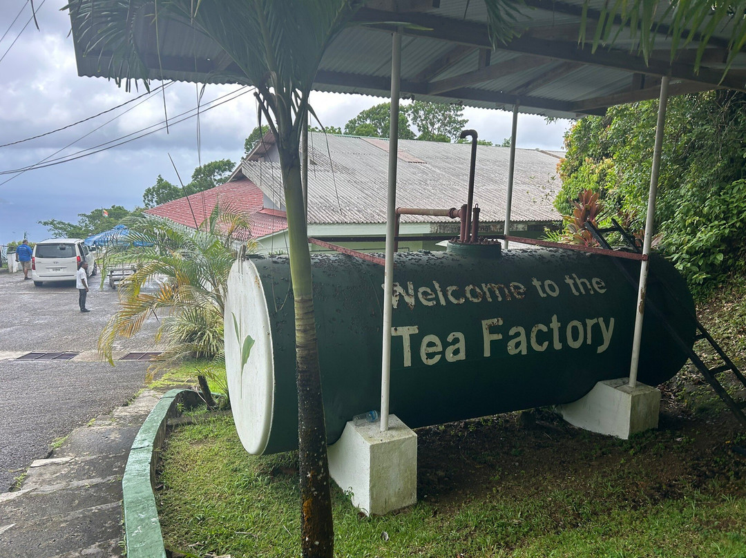 Tea Factory-马埃岛必去景点