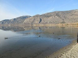 Osoyoos Lake景点图片