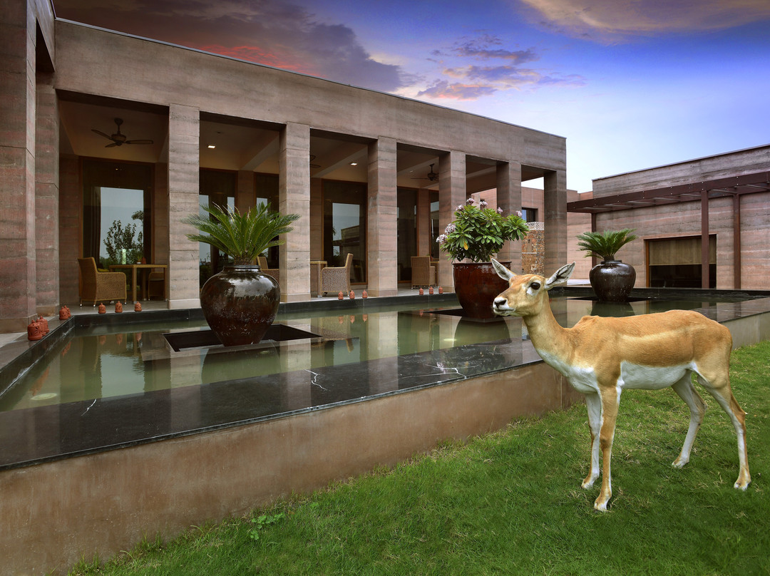 The Lalit Mangar主图