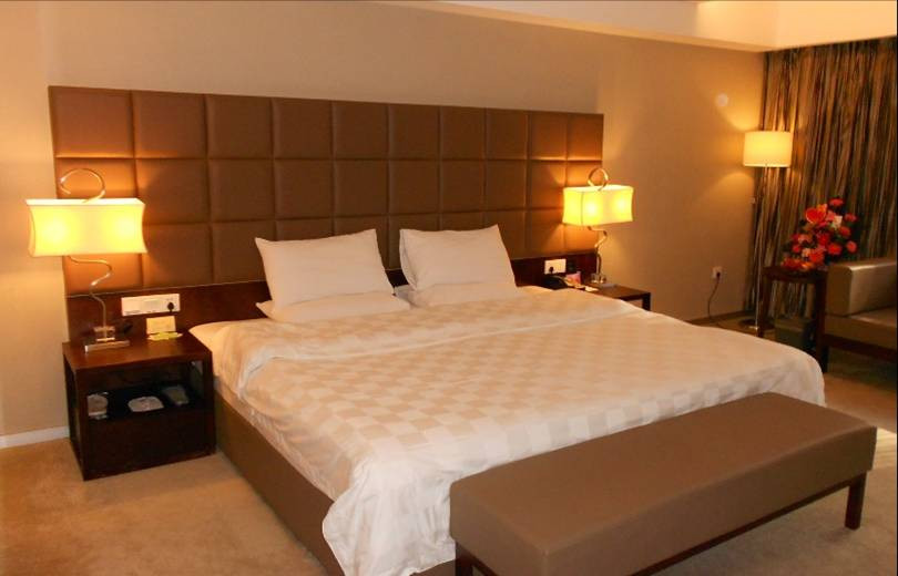 卓越大酒店主图