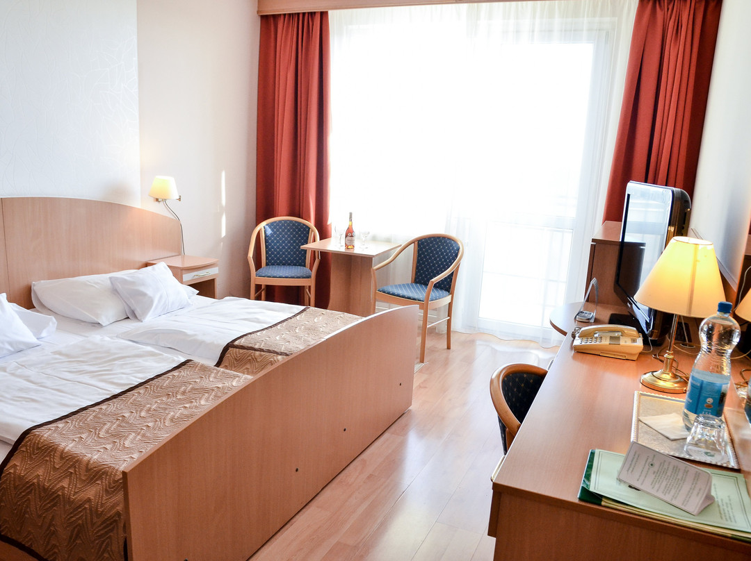 Ebes酒店住宿-Hotel Barátság Hajdúszoboszló