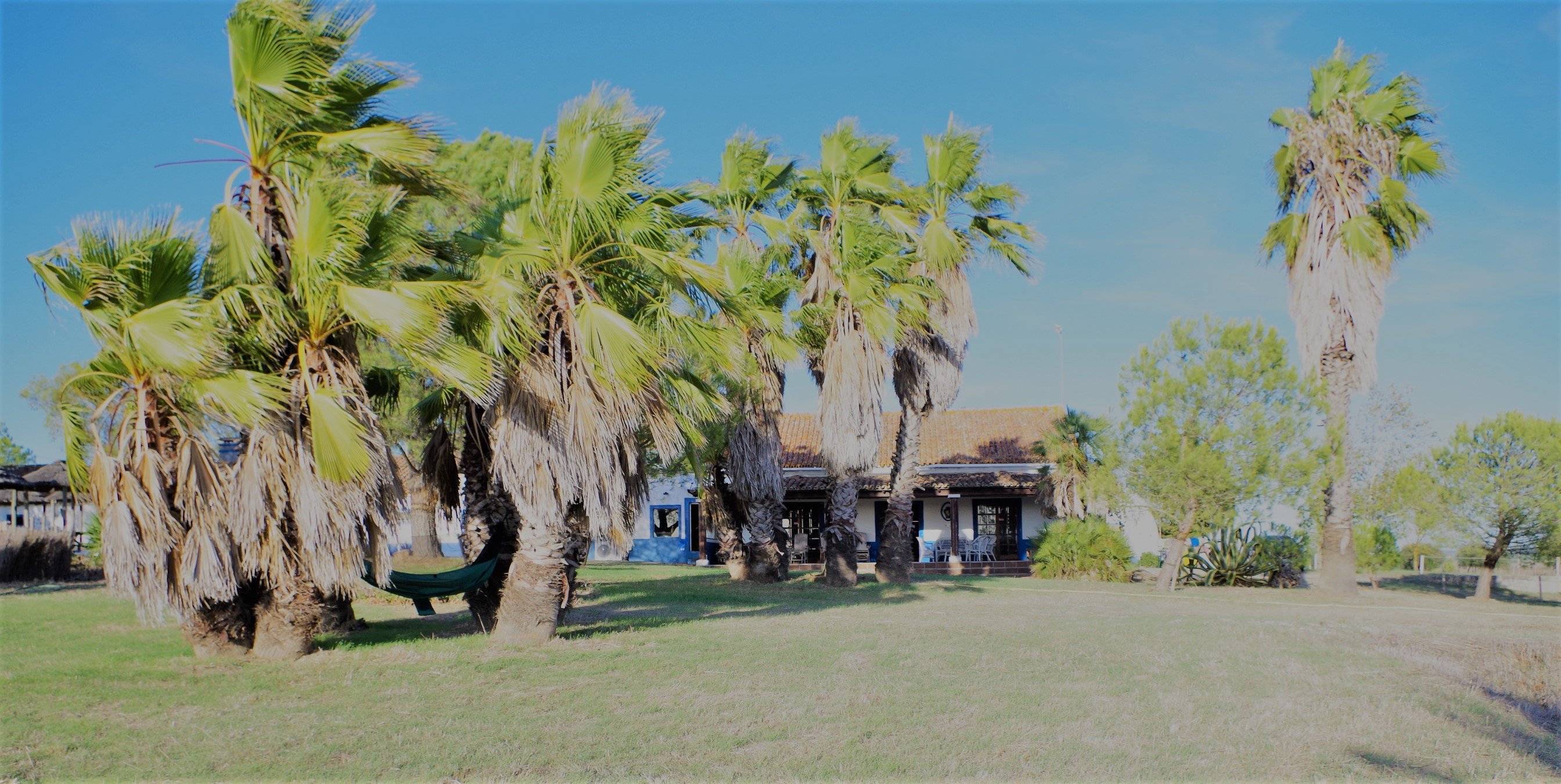 Lodge Monte do Sobral-官方