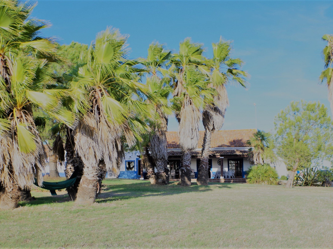 São Bartolomeu do Outeiro旅游攻略图片