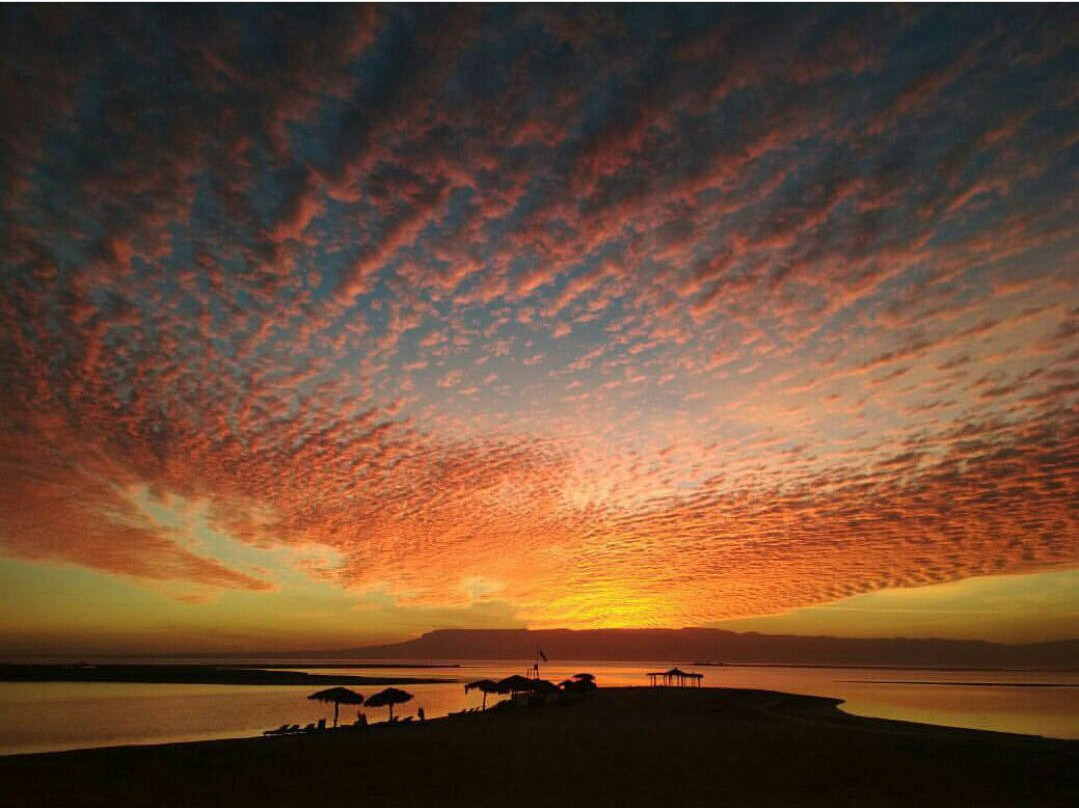 Green Sudr Hotel主图