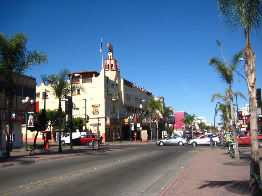 Avenida Revolucion景点图片