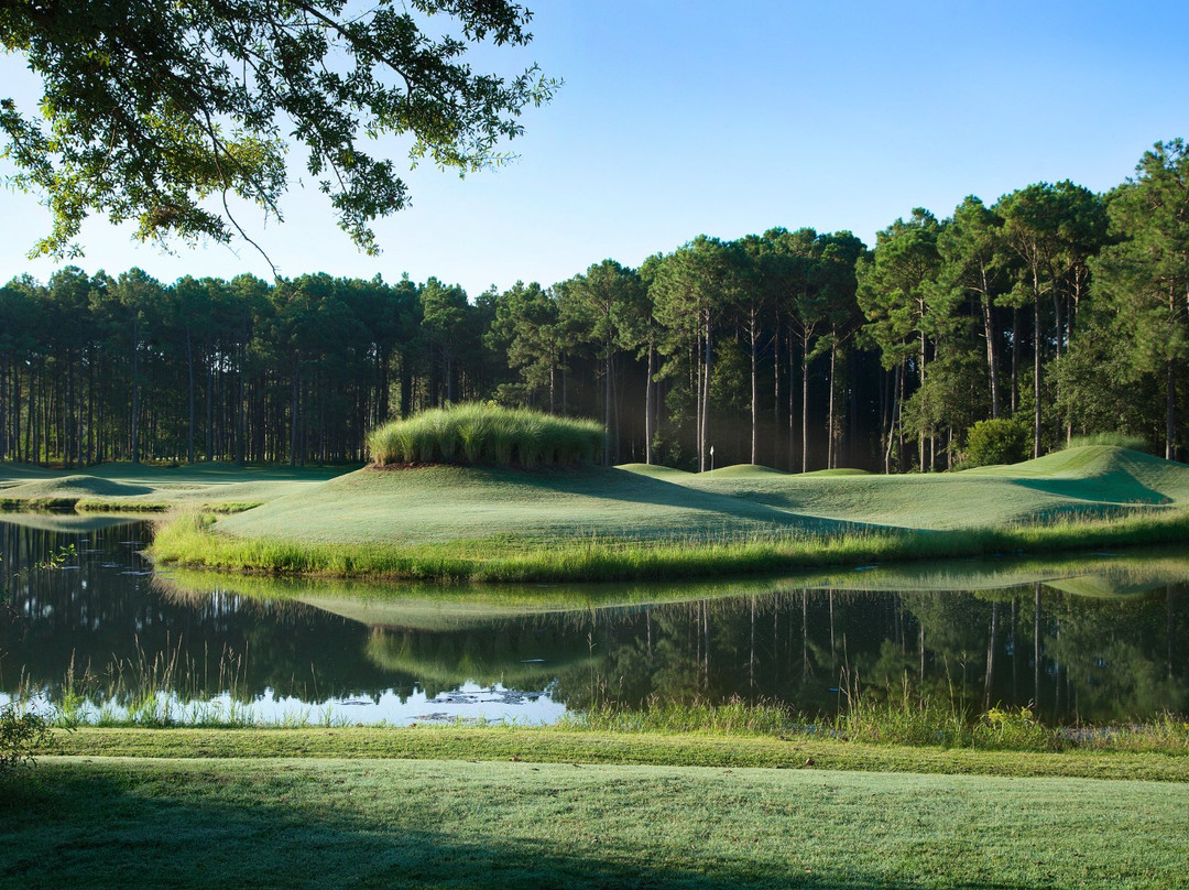 Sea Trail Plantation - Jones Course景点图片
