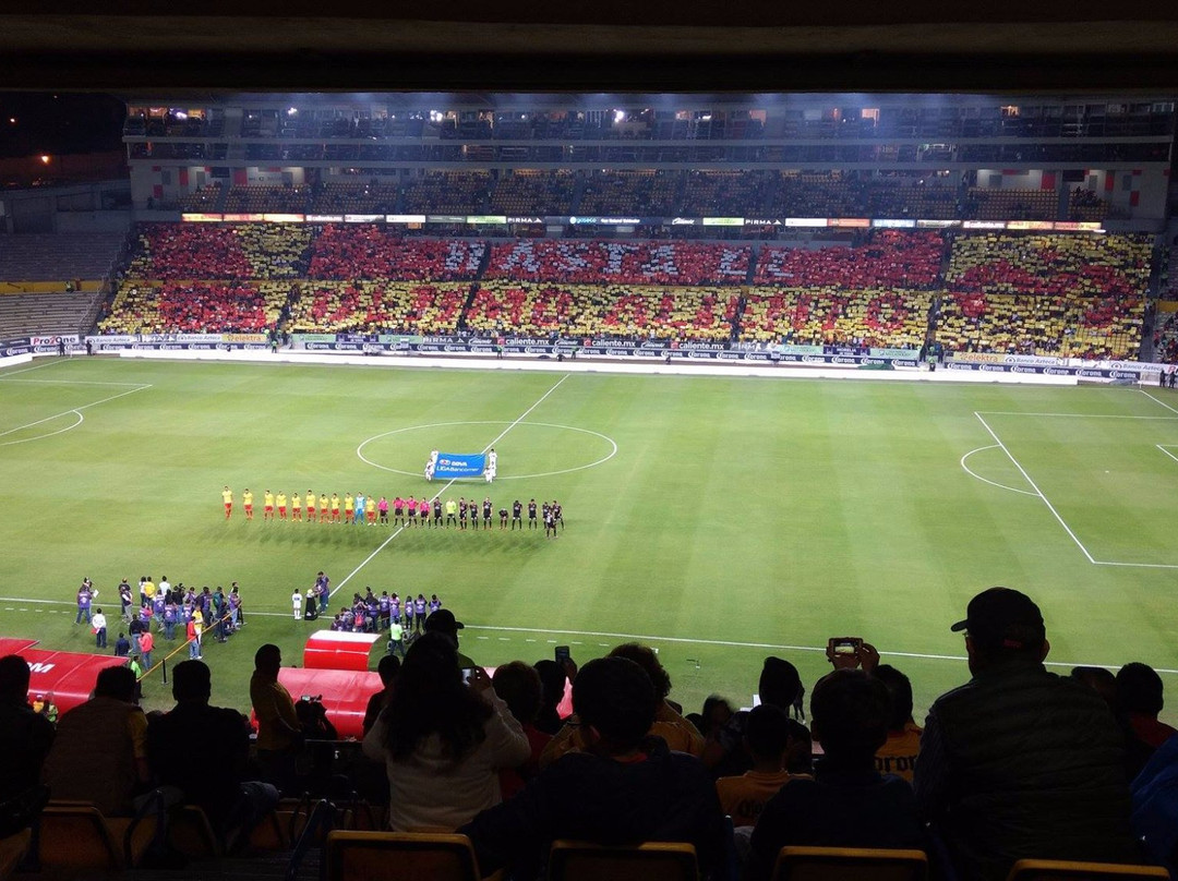 Monarcas Morelia Soccer Club景点图片