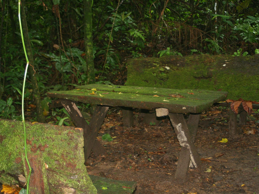 Parque Machia-Villa Tunari必去景点