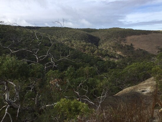Talisker Conservation Park景点图片