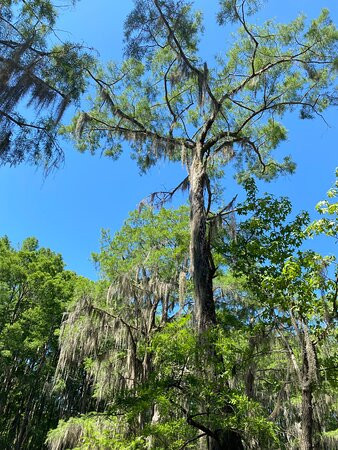 Riverbend Outfitters-Jefferson必去景点