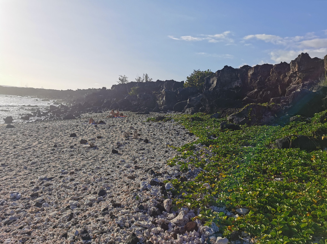 La Pointe Au Sel景点图片