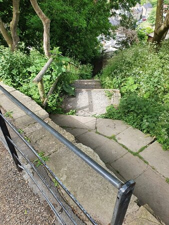 Rosedale House主图