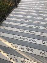 Pelican Island National Wildlife Refuge-维罗海滩必去景点