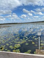 Crews Lake Wilderness Park景点图片