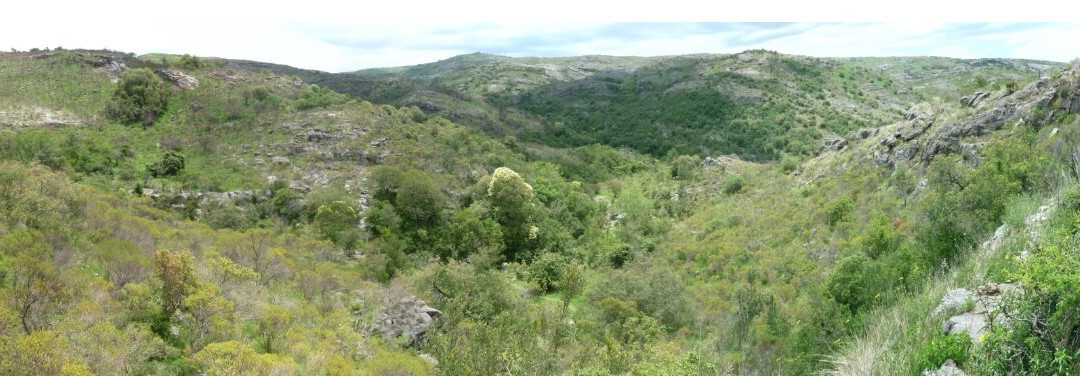 Pozo Del Indio景点图片