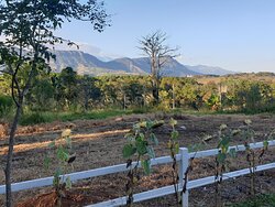 Khao Kho Overview Resort-酒店景观