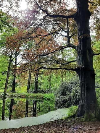 Landgoed "het Enzerinck"-Vorden必去景点