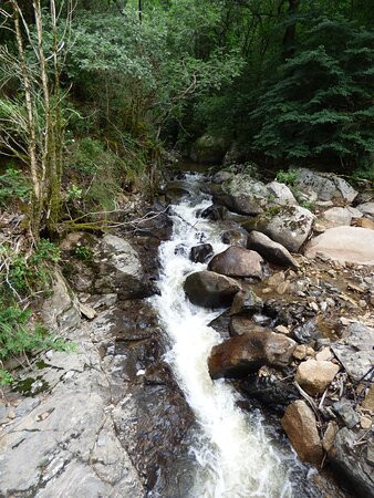 Cascade Le Saut de la Truite景点图片