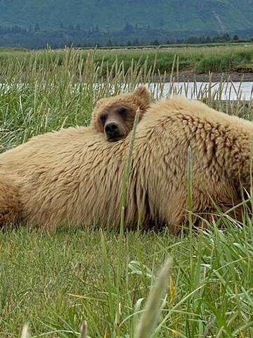 Emerald Air Service, Inc.