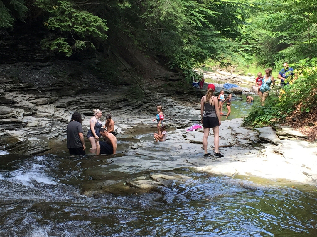 Chautauqua Gorge State Forest-Mayville必去景点