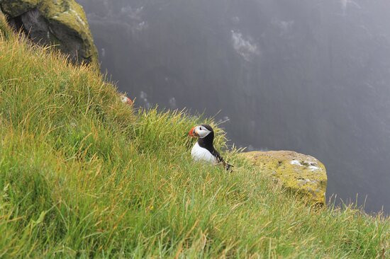 iguide .is-雷克雅未克必去景点